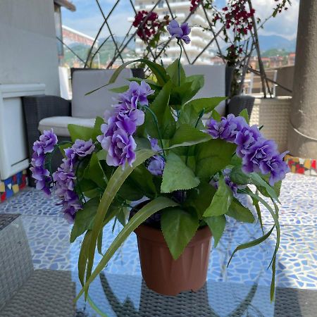 Costa Sud Salerno B&B 외부 사진